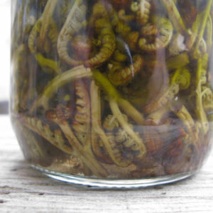 fermented fern zagori greece