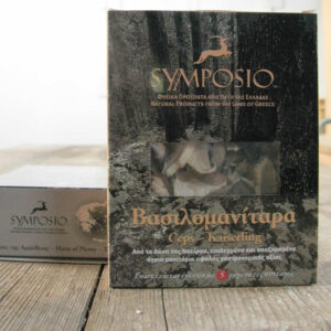 Dried porcini mushrooms